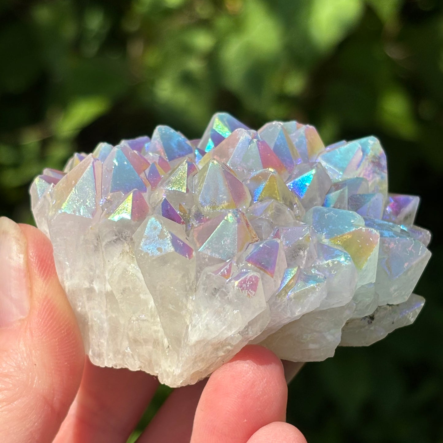 Angel Aura Quartz Cluster | B - Shiny Crystals