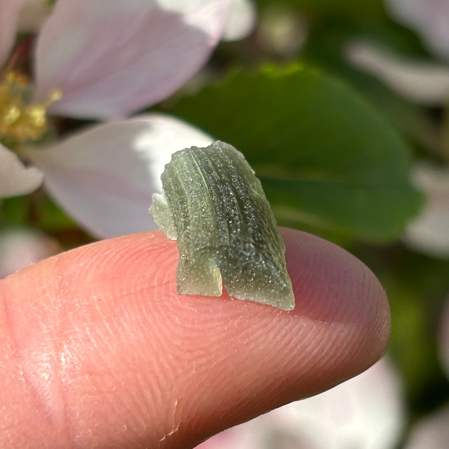 Natural Moldavite | 0.65g - Shiny Crystals