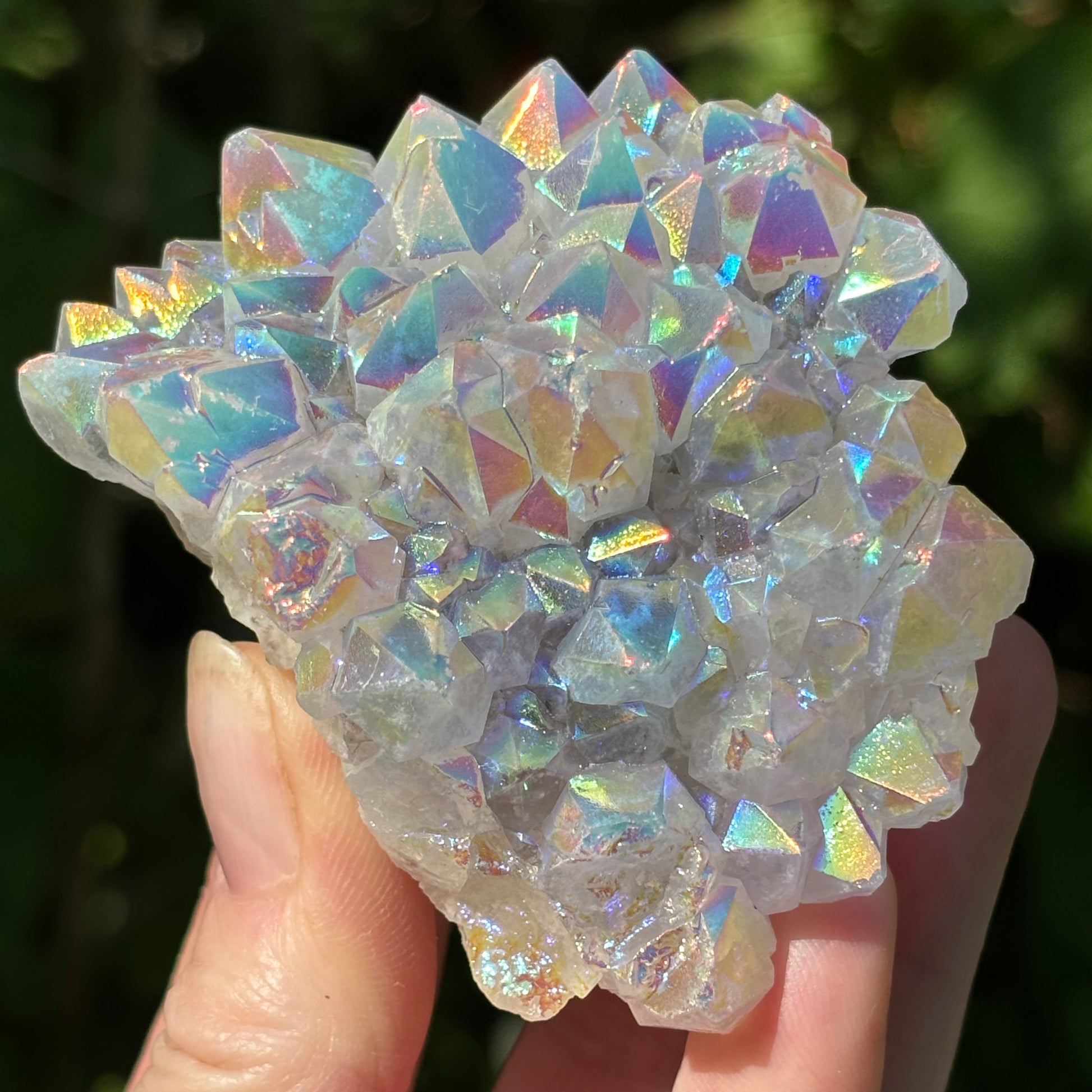 Angel Aura Quartz Cluster | B - Shiny Crystals