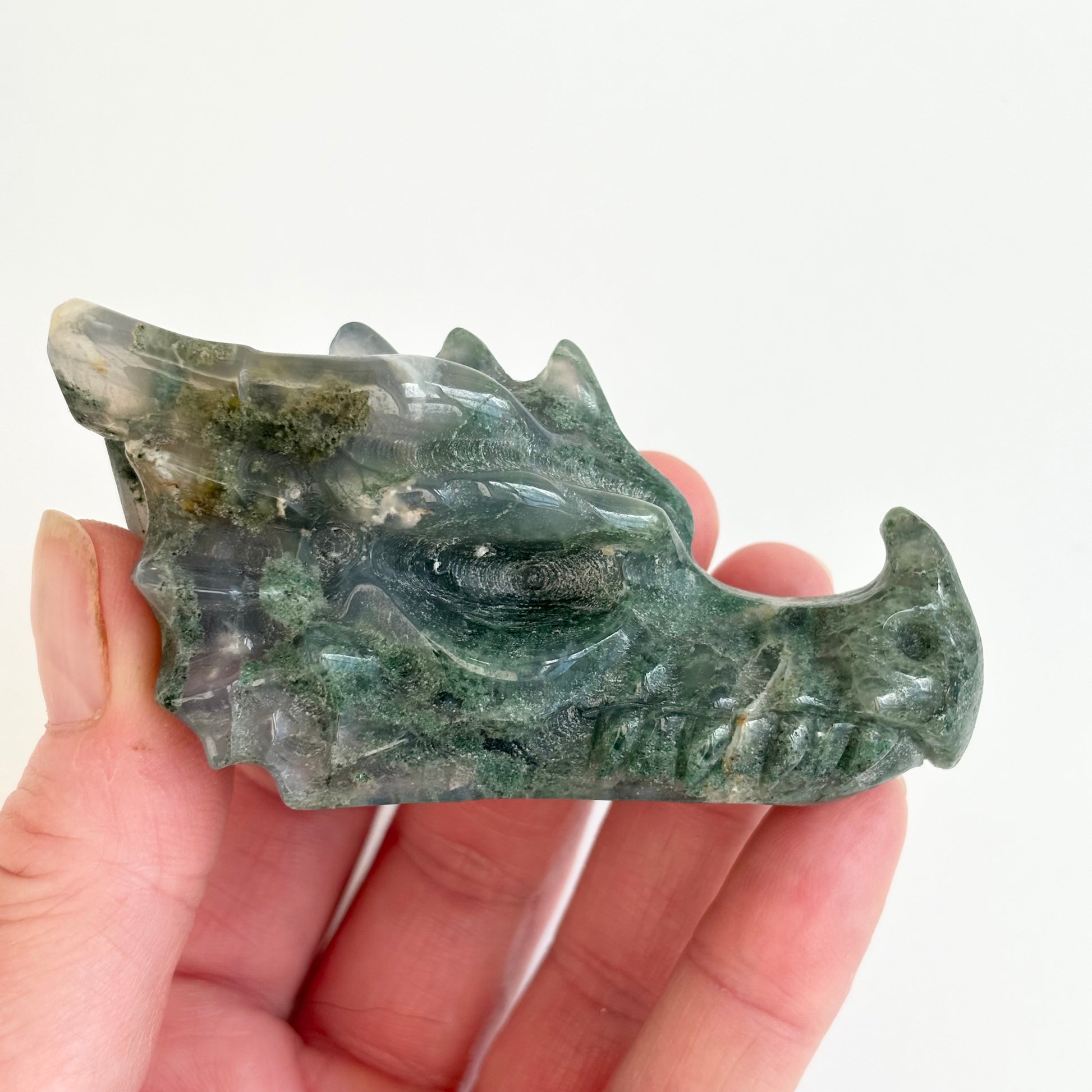 Moss Agate Dragon Head - Shiny Crystals