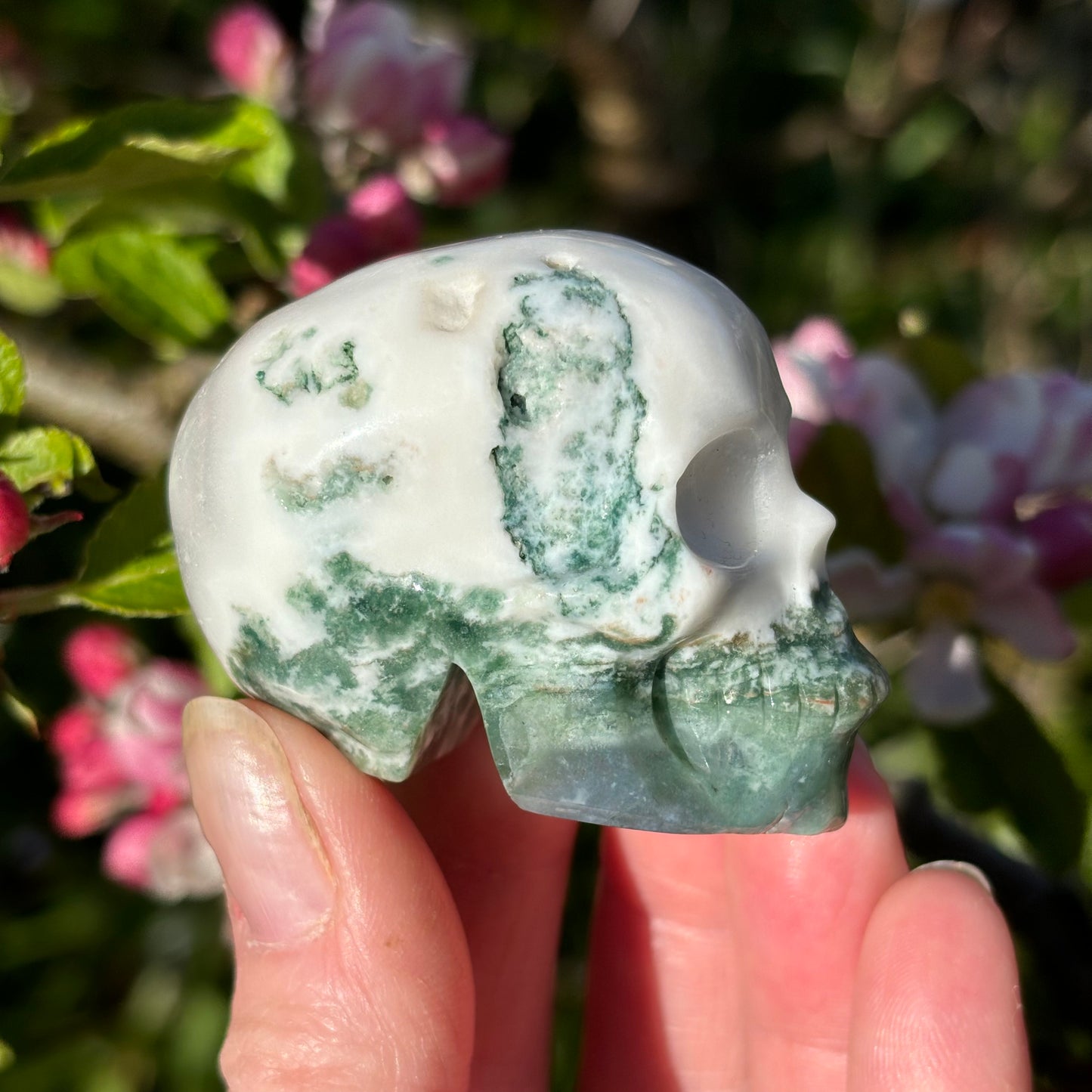 Moss Agate Skull - Shiny Crystals