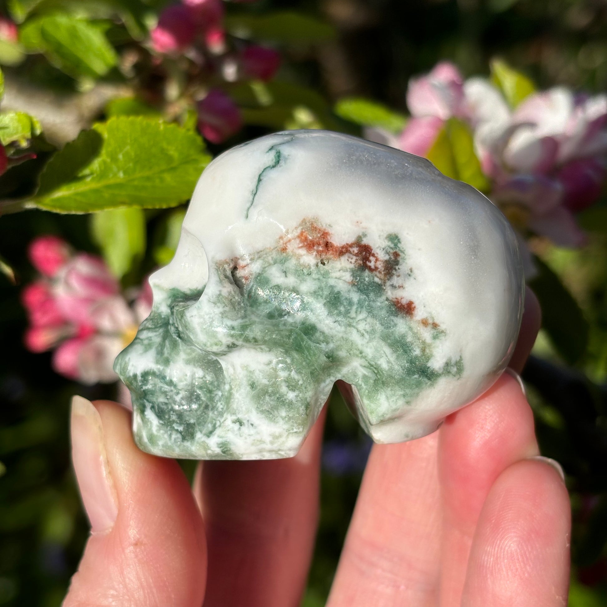 Moss Agate Skull - Shiny Crystals