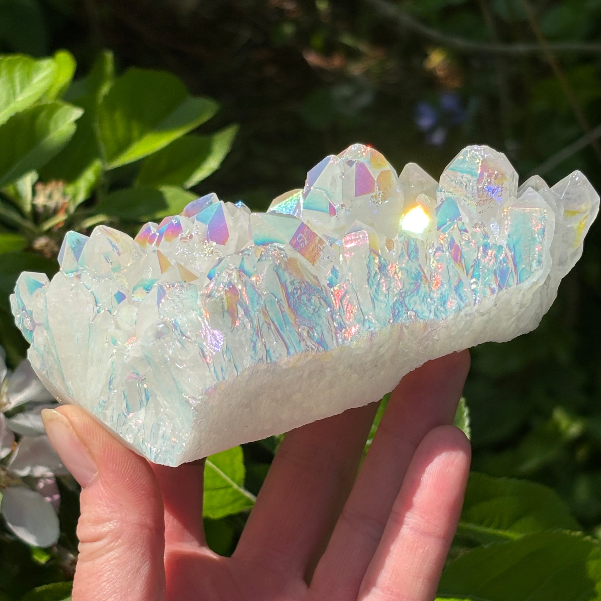 Angel Aura Quartz Cluster | A - Shiny Crystals