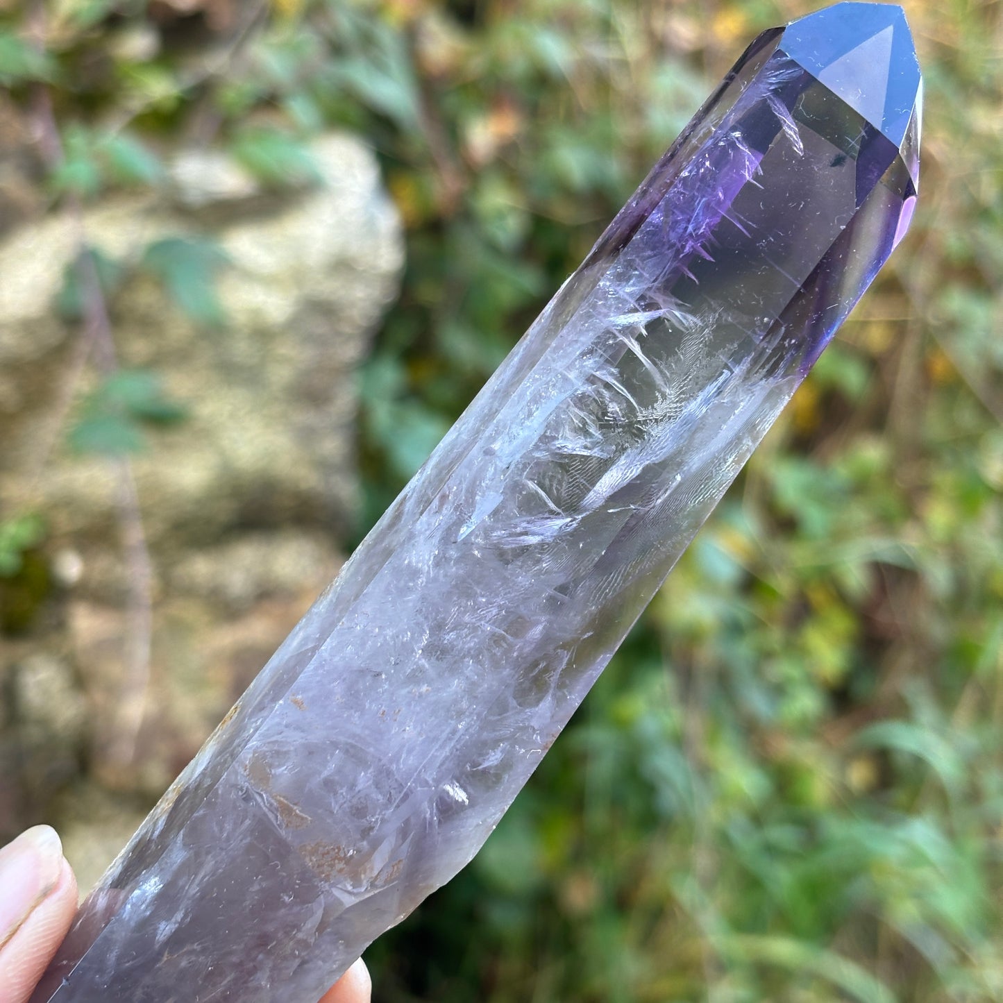 Stunning Brazilian Amethyst Half Polished Root