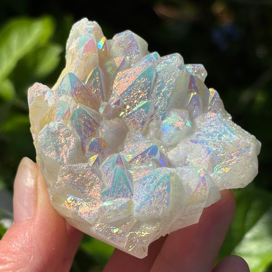 Angel Aura Quartz Cluster | H - Shiny Crystals