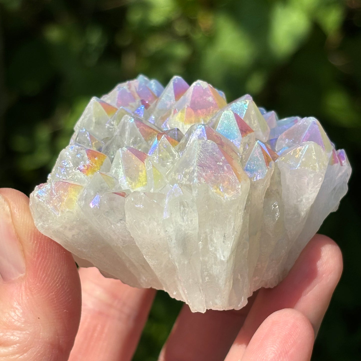 Angel Aura Quartz Cluster | B - Shiny Crystals