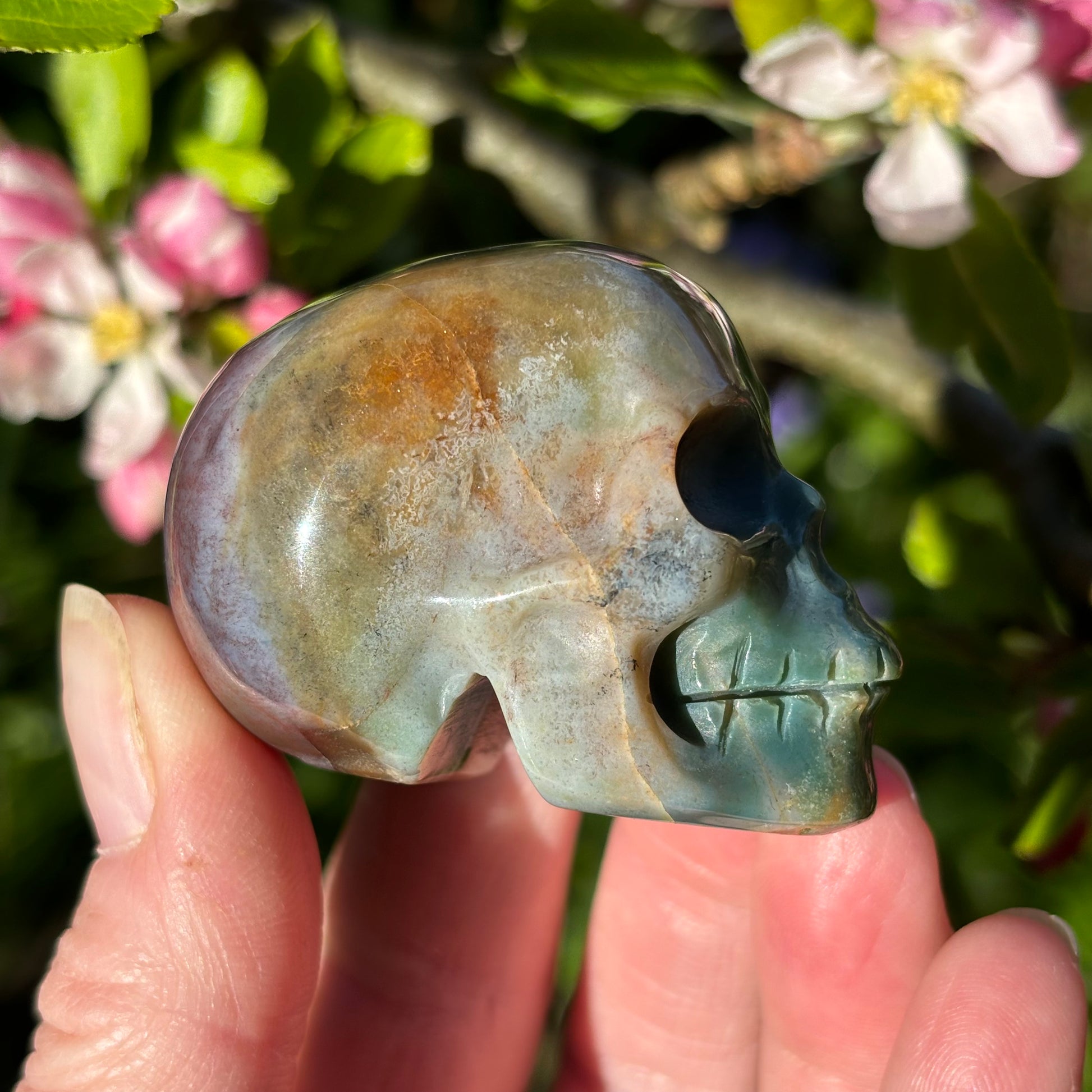 Polychrome Jasper Skull - Shiny Crystals