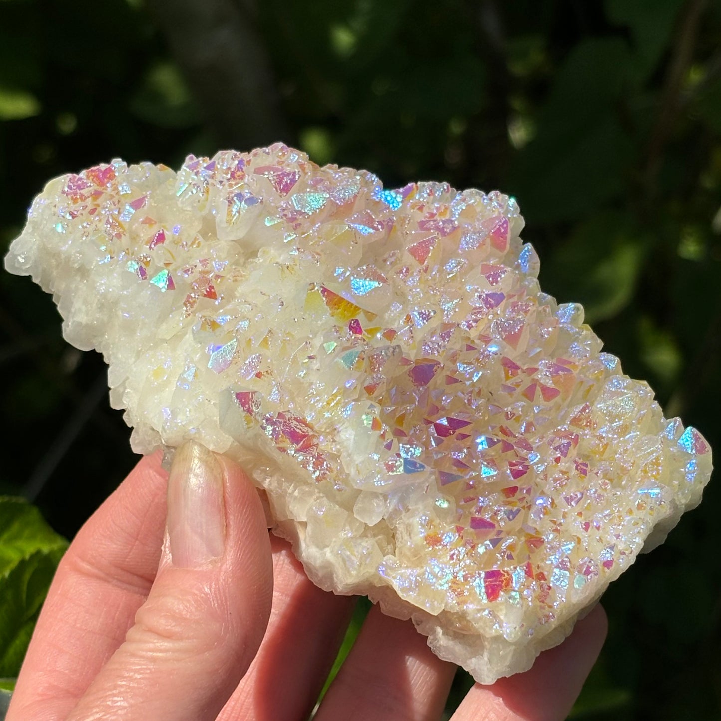 Angel Aura Quartz Cluster | F - Shiny Crystals