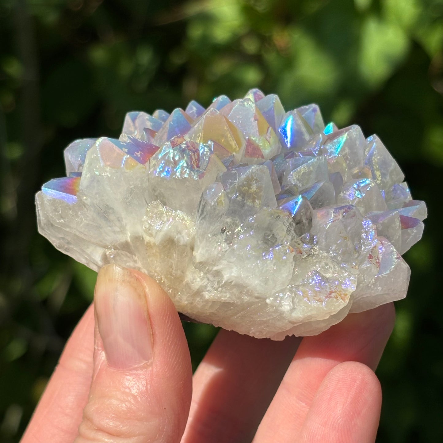 Angel Aura Quartz Cluster | B - Shiny Crystals