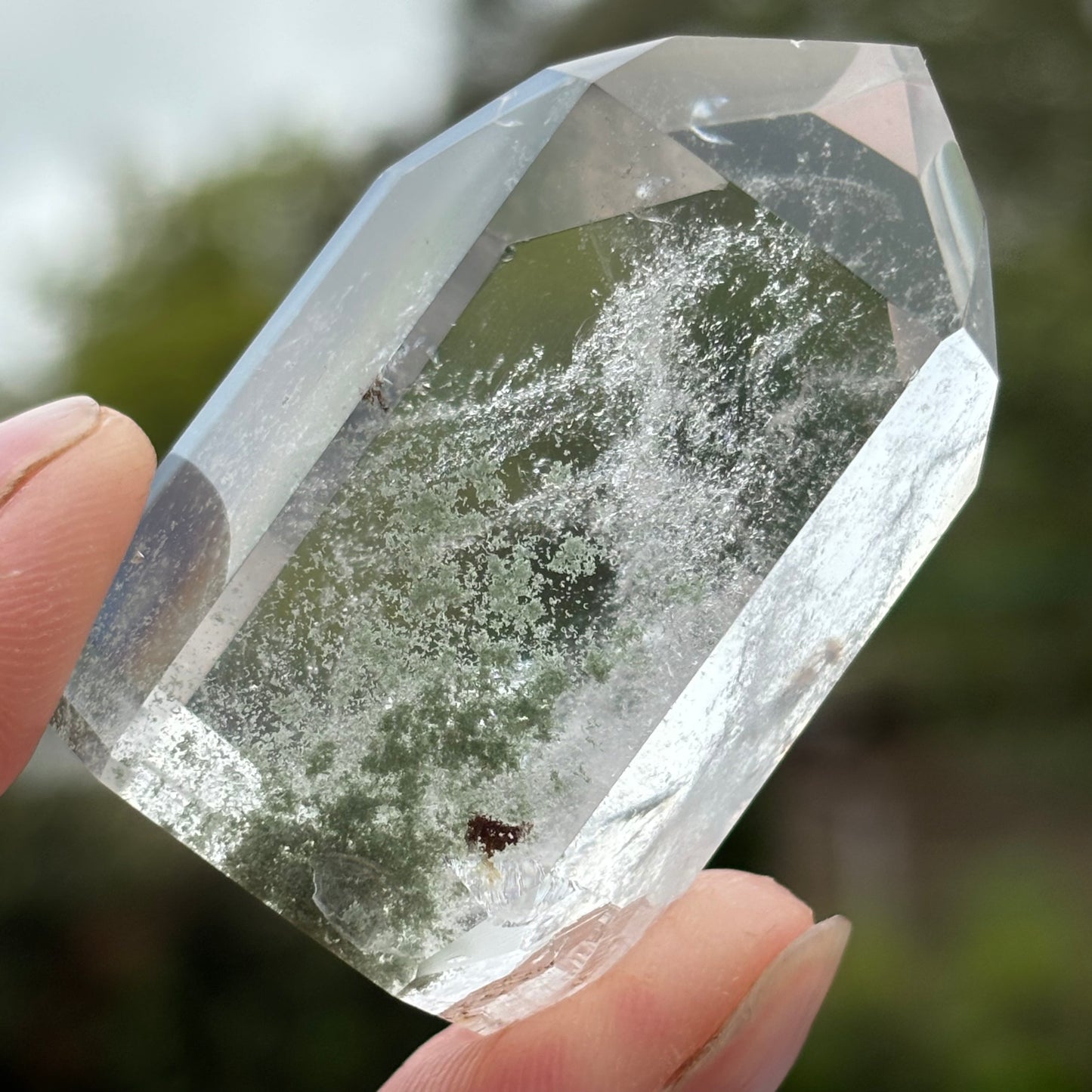 Green Phantom Chlorite Quartz Point | F - Shiny Crystals