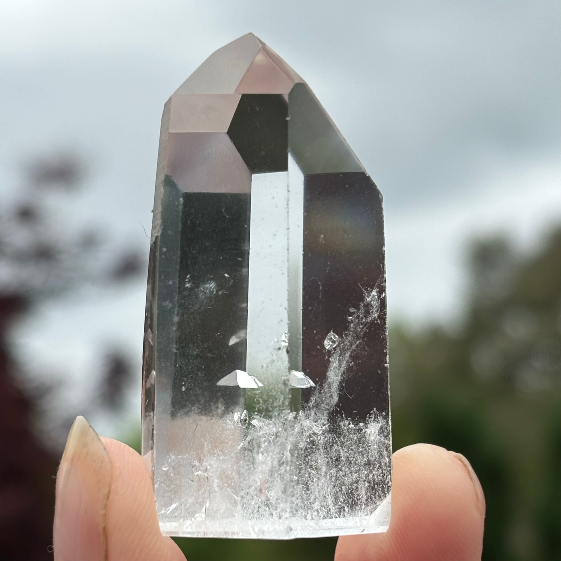 Lemurian Quartz Point | H - Shiny Crystals