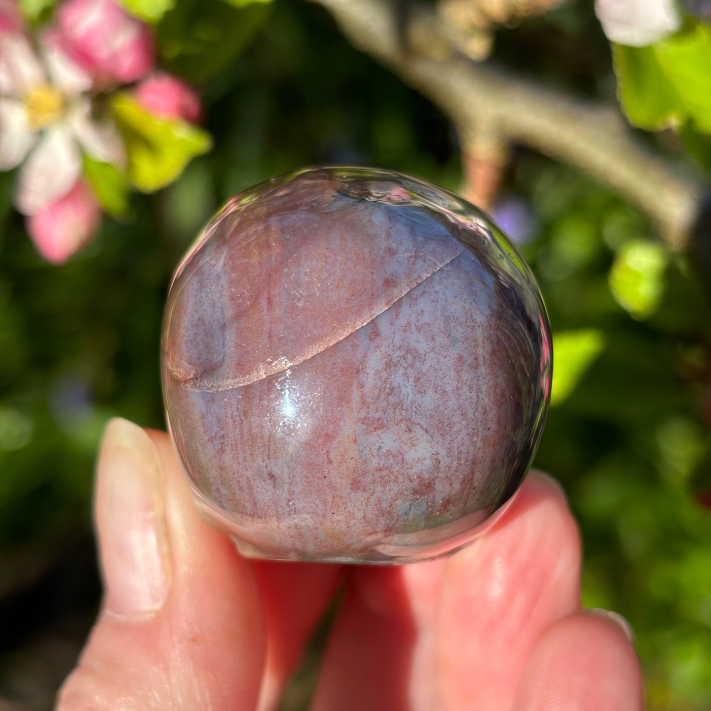 Polychrome Jasper Skull - Shiny Crystals