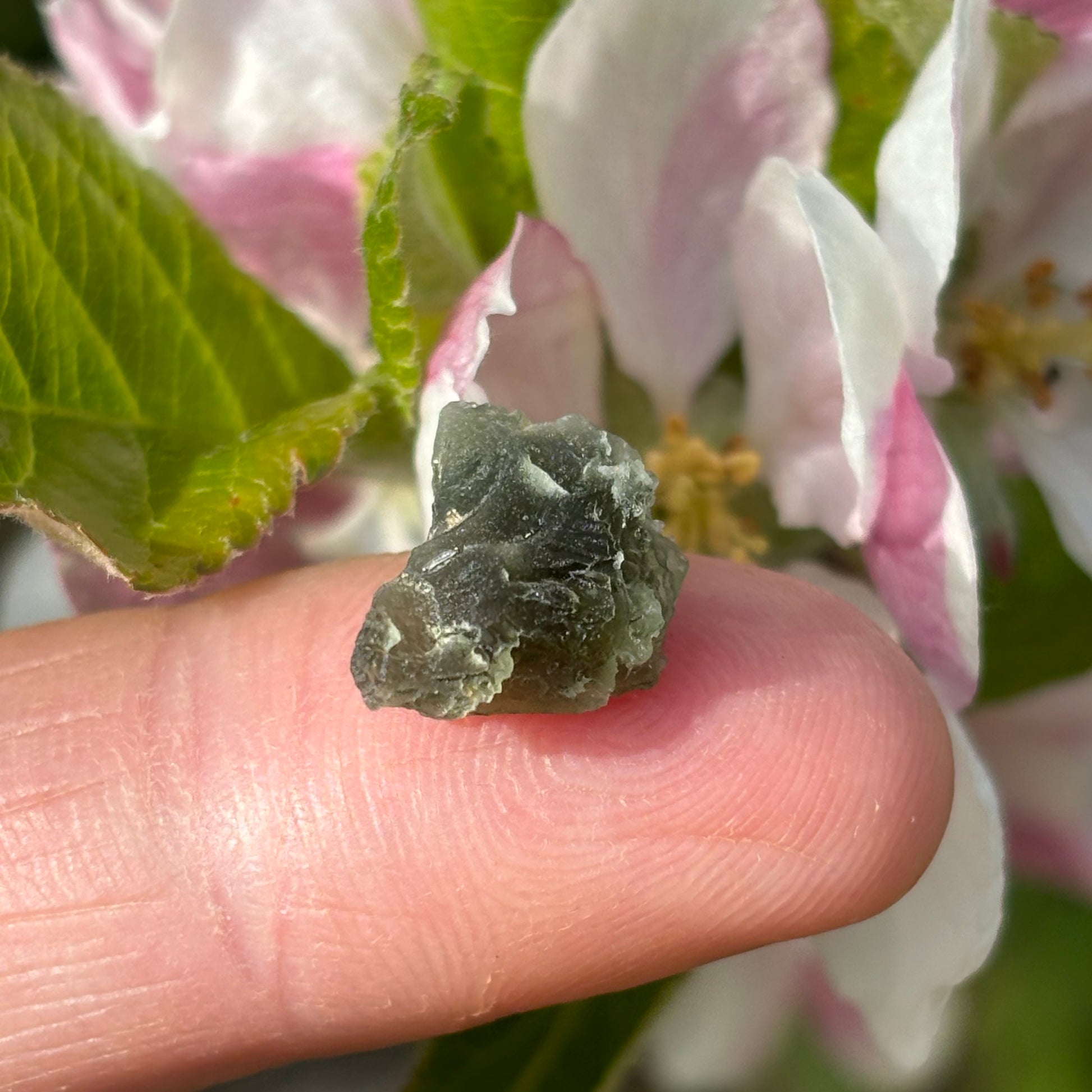 Natural Moldavite | 0.91g - Shiny Crystals