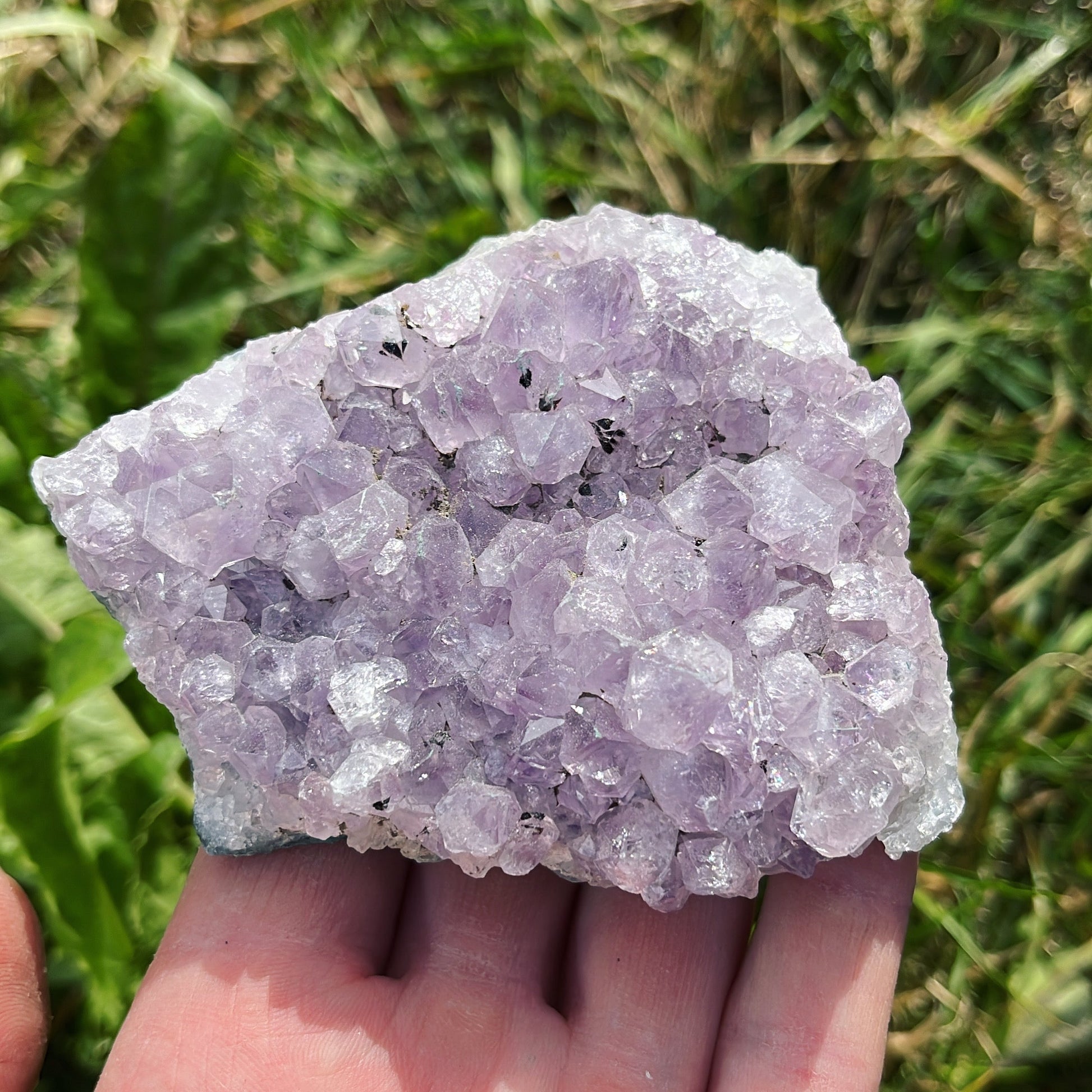 Amethyst Cluster | B - Shiny Crystals