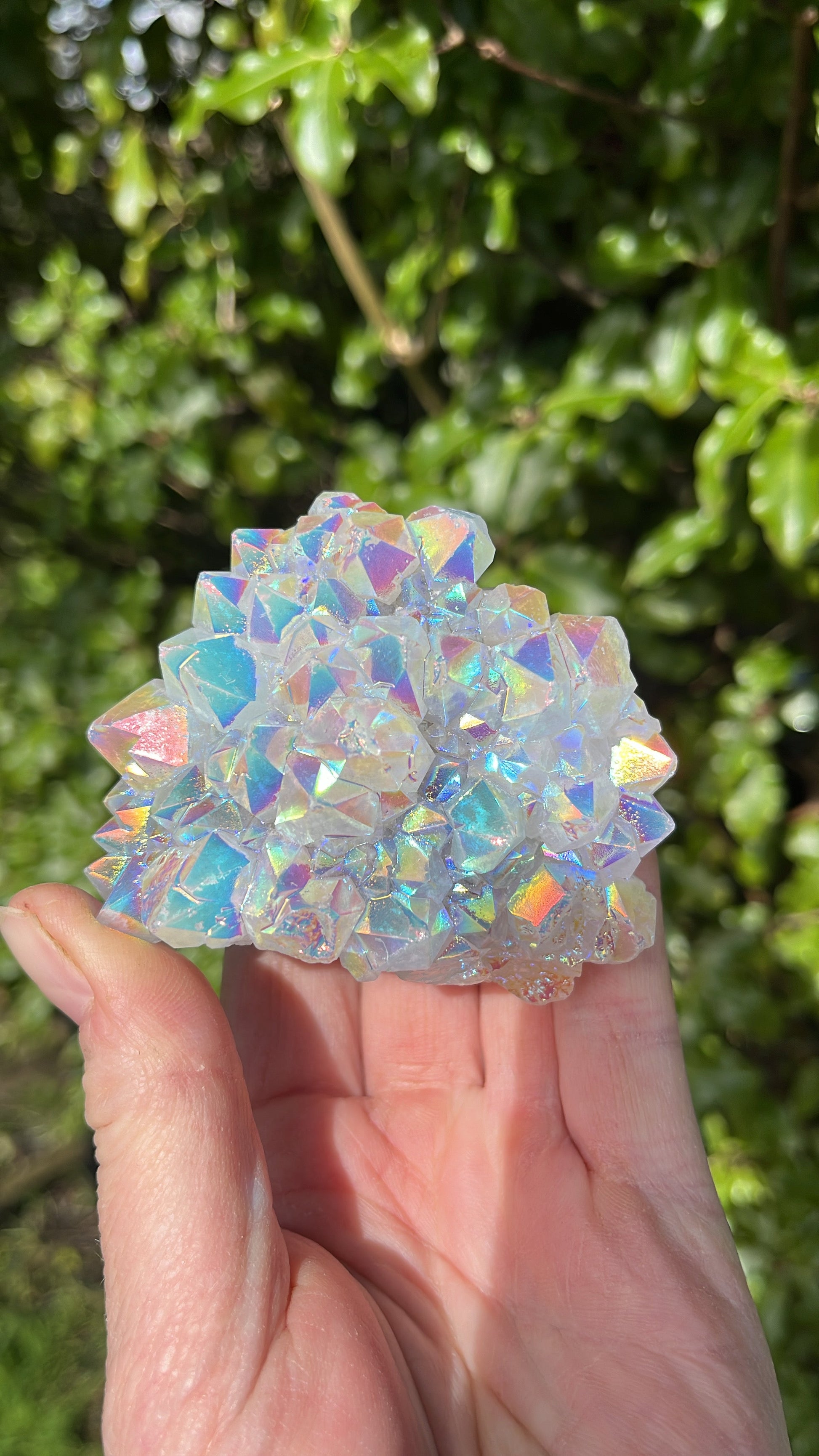 Angel Aura Quartz Cluster | B - Shiny Crystals