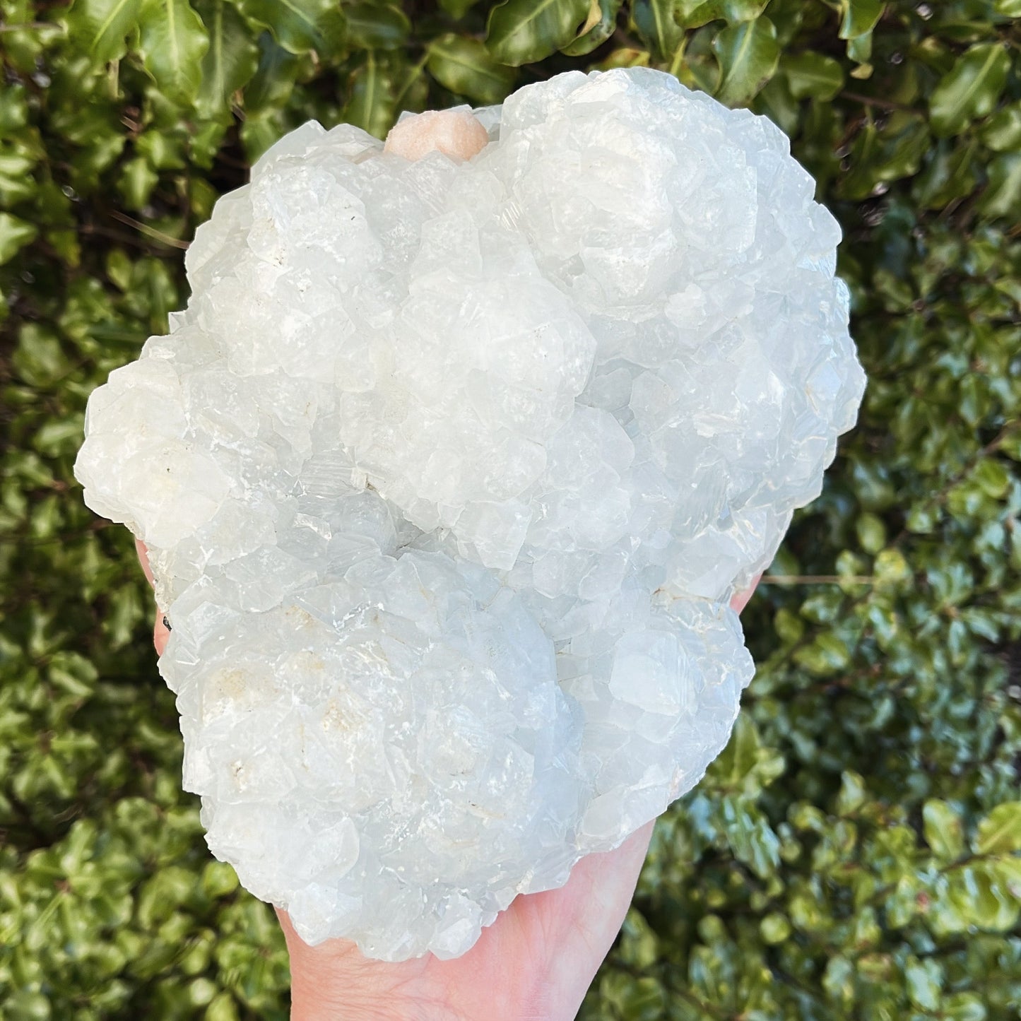 Apophyllite with Peach Stilbite - Shiny Crystals