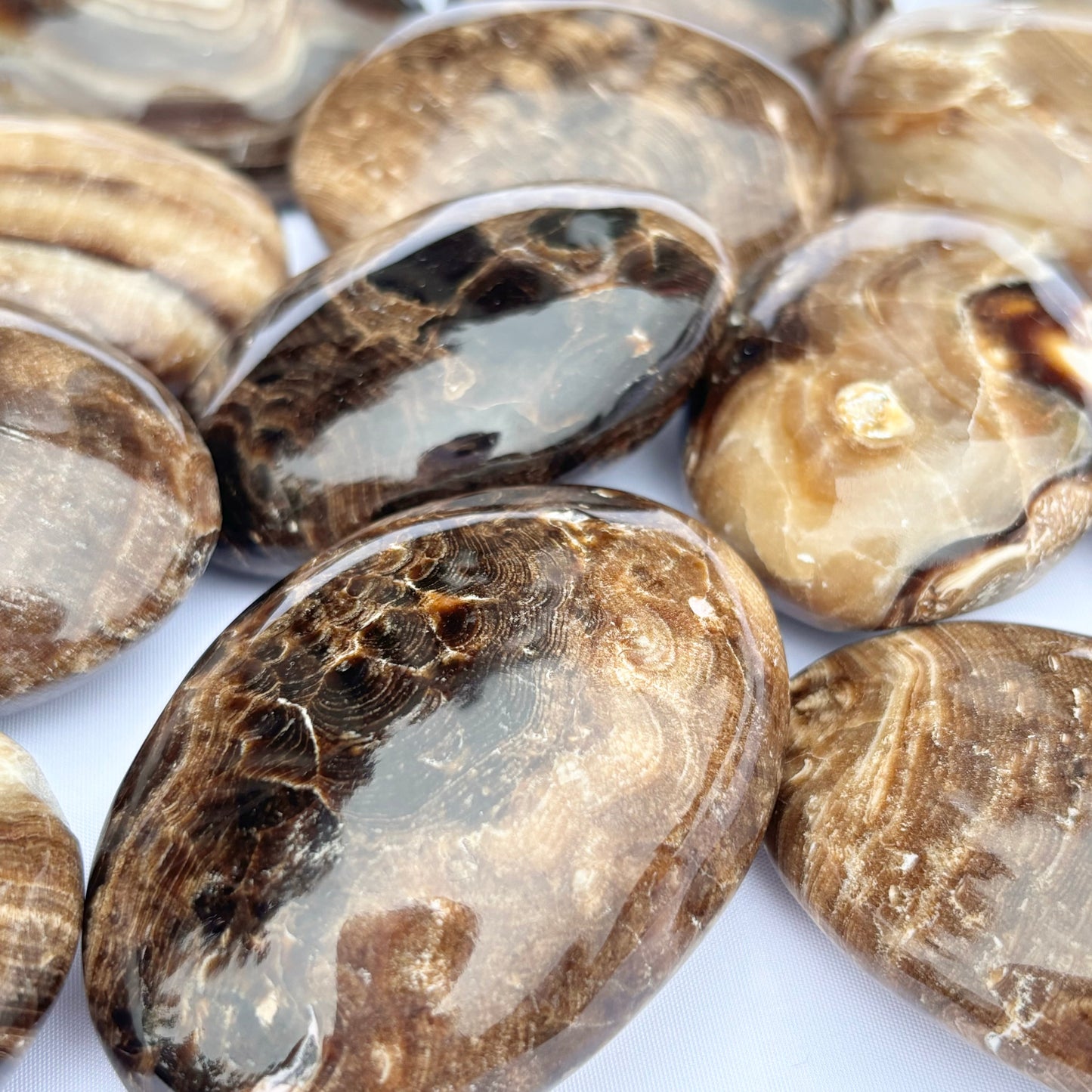 Chocolate Calcite Palmstone - Shiny Crystals