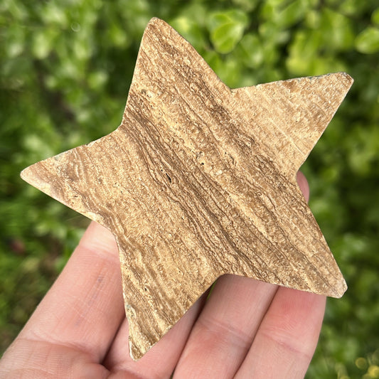 Chocolate Calcite Star | B - Shiny Crystals