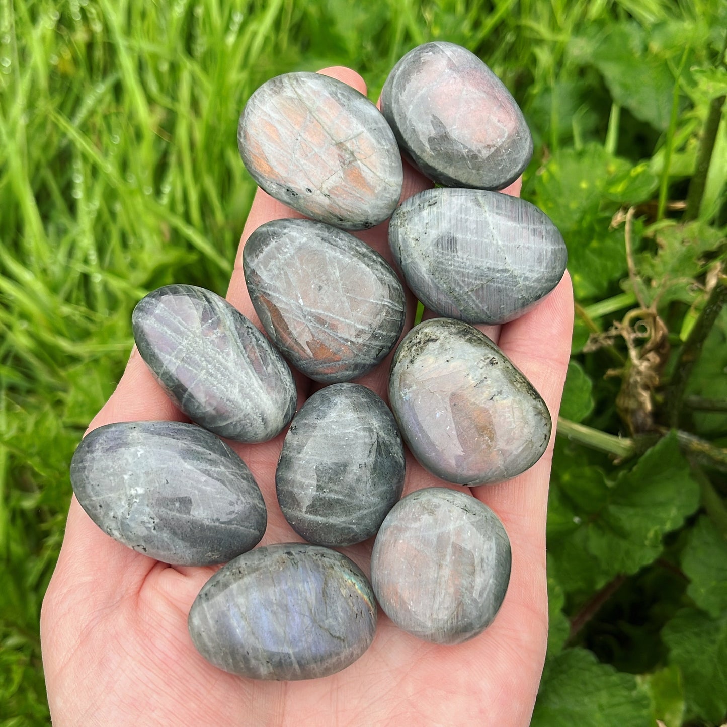 Flashy Labradorite Tumblestone - Shiny Crystals