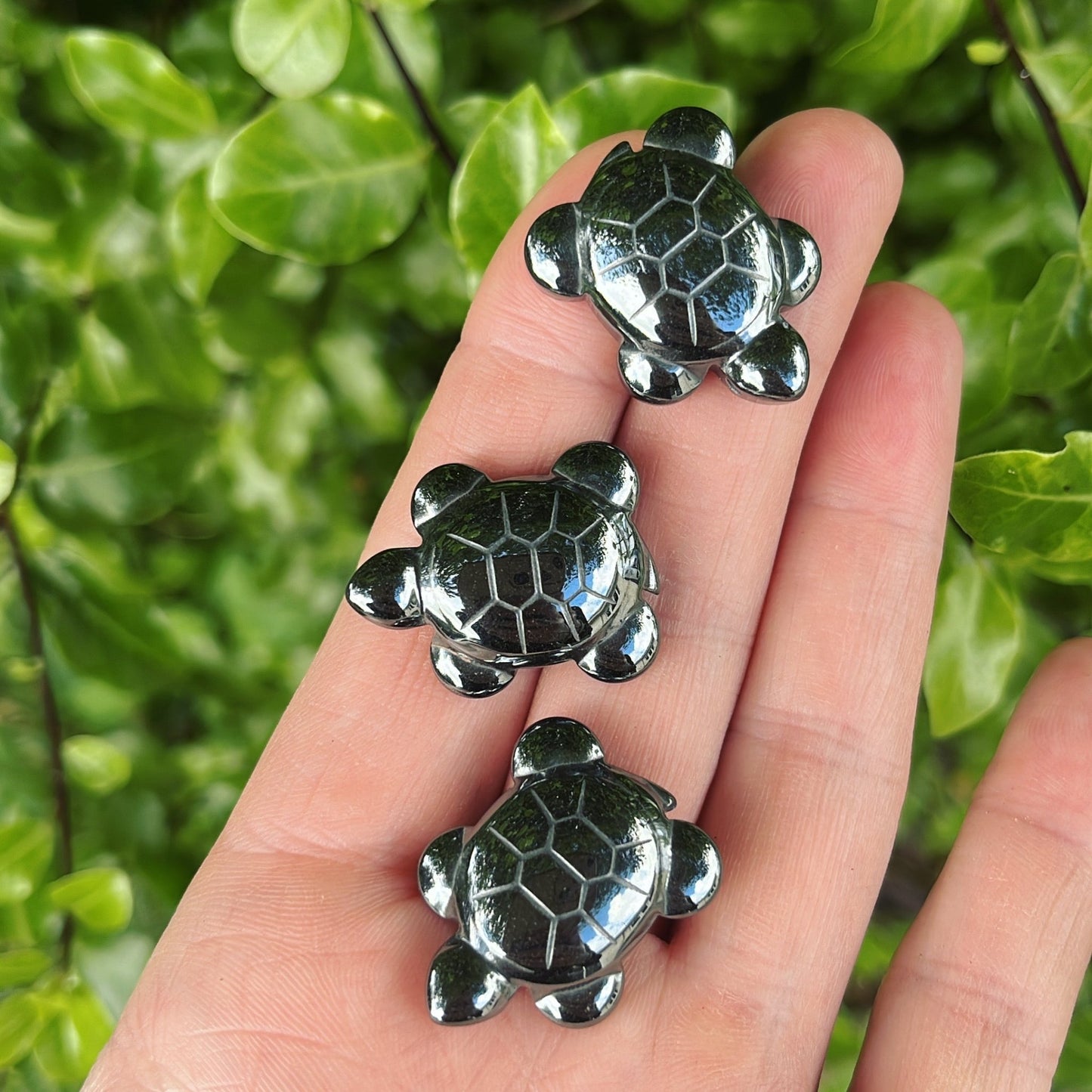 Hematite Tortoise - Shiny Crystals