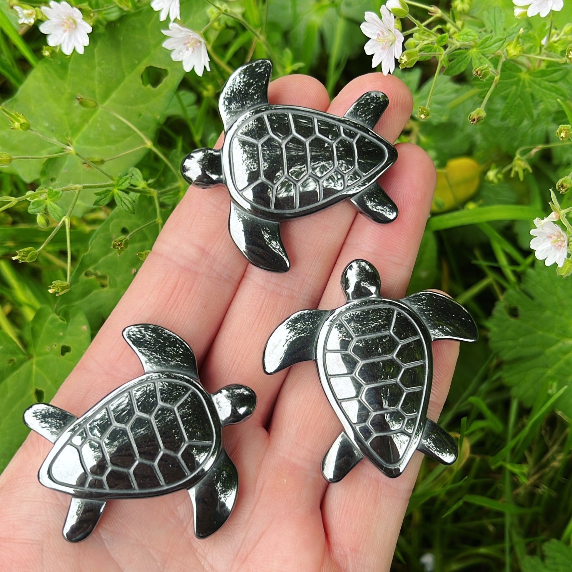 Hematite Turtle - Shiny Crystals