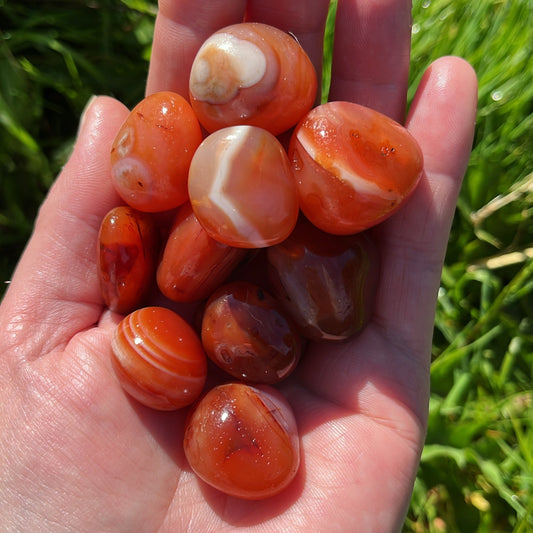 Large Carnelian Tumblestone - Shiny Crystals