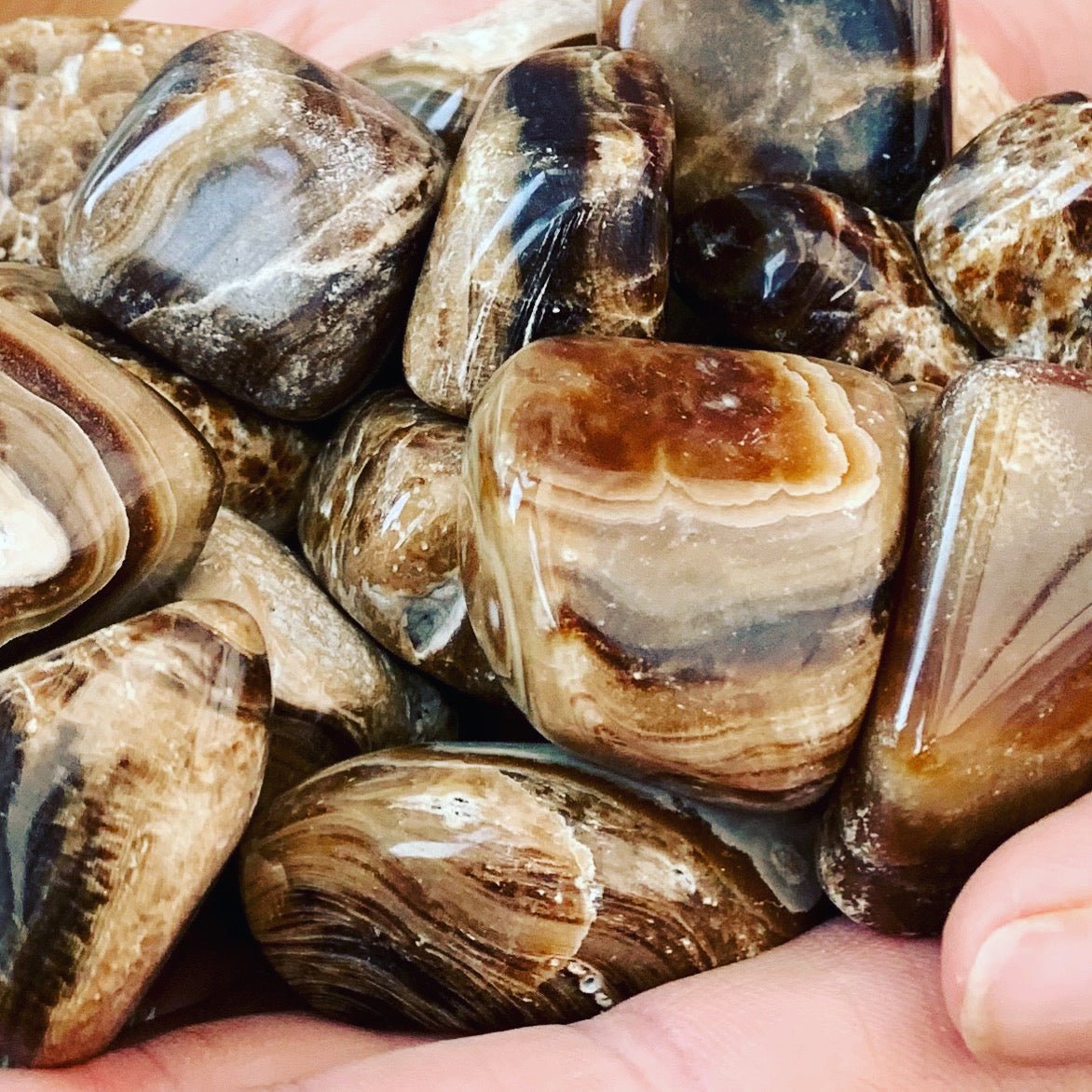 Large Chocolate Calcite Tumblestone - Shiny Crystals