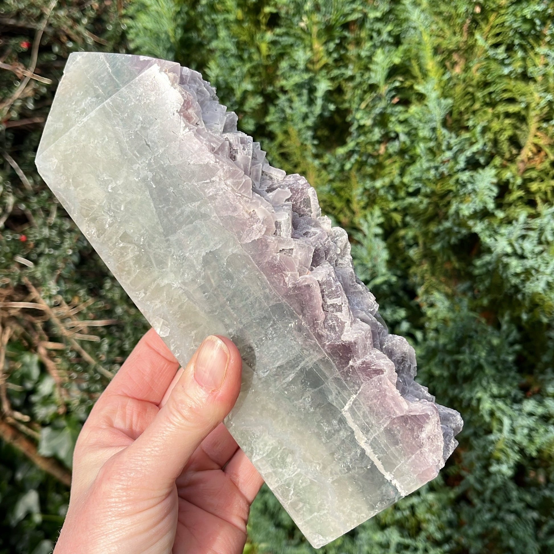 Large Green & Purple Fluorite Slab | A - Shiny Crystals