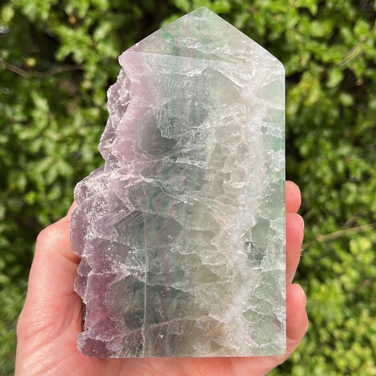 Large Green & Purple Fluorite Slab | B - Shiny Crystals