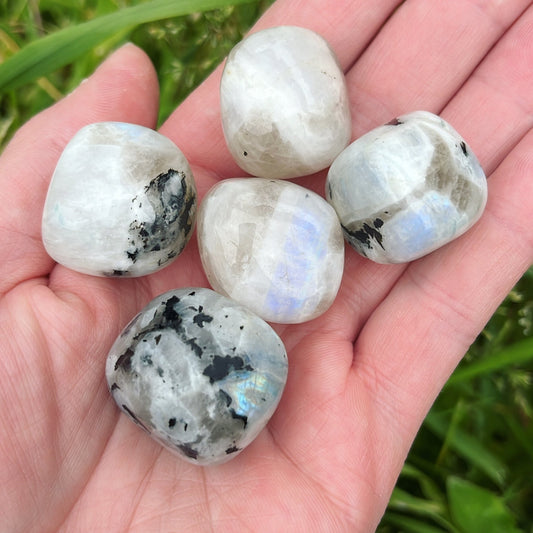 Large Smokey Quartz in Rainbow Moonstone Tumblestone - Shiny Crystals