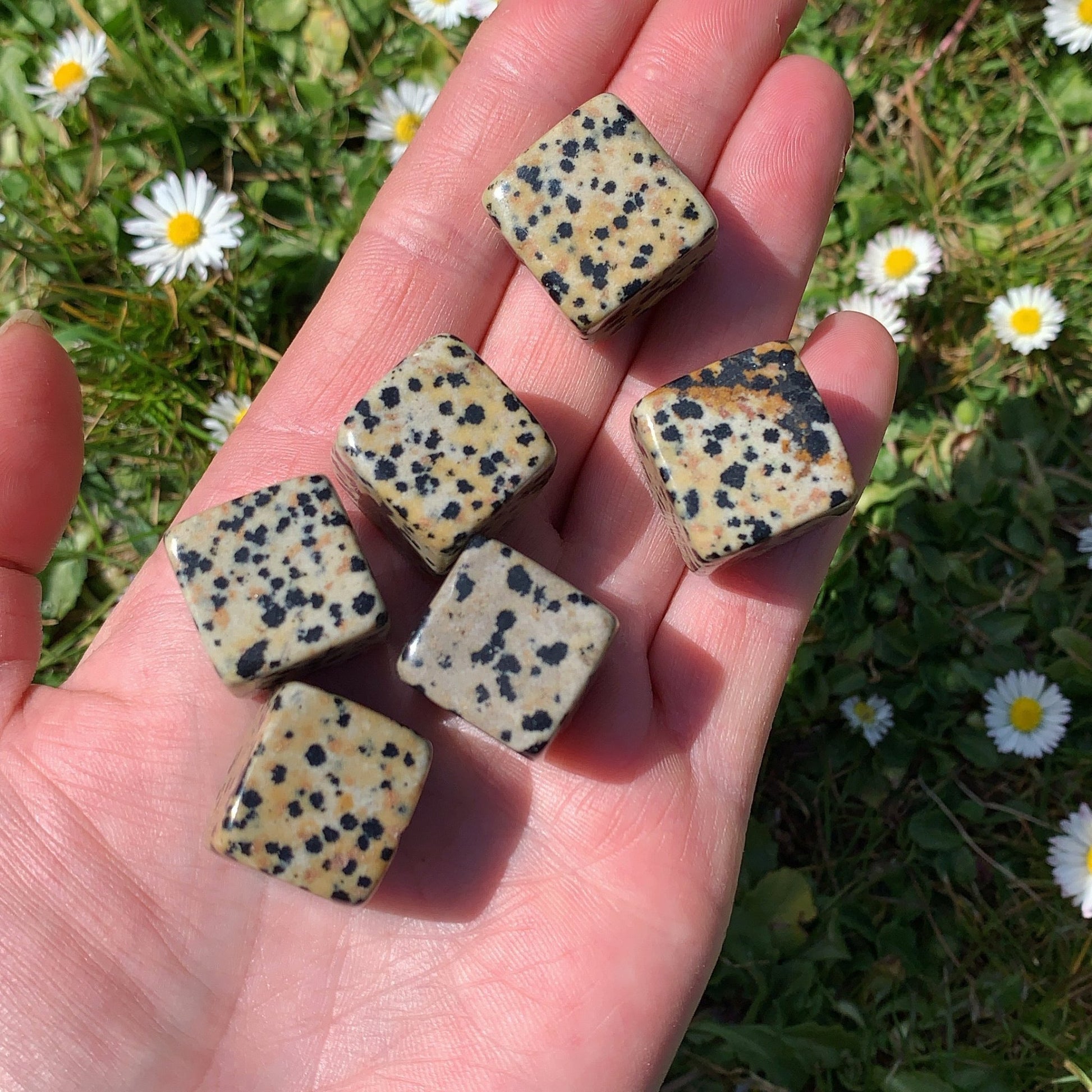 Mini Dalmatian Jasper Cube - Shiny Crystals