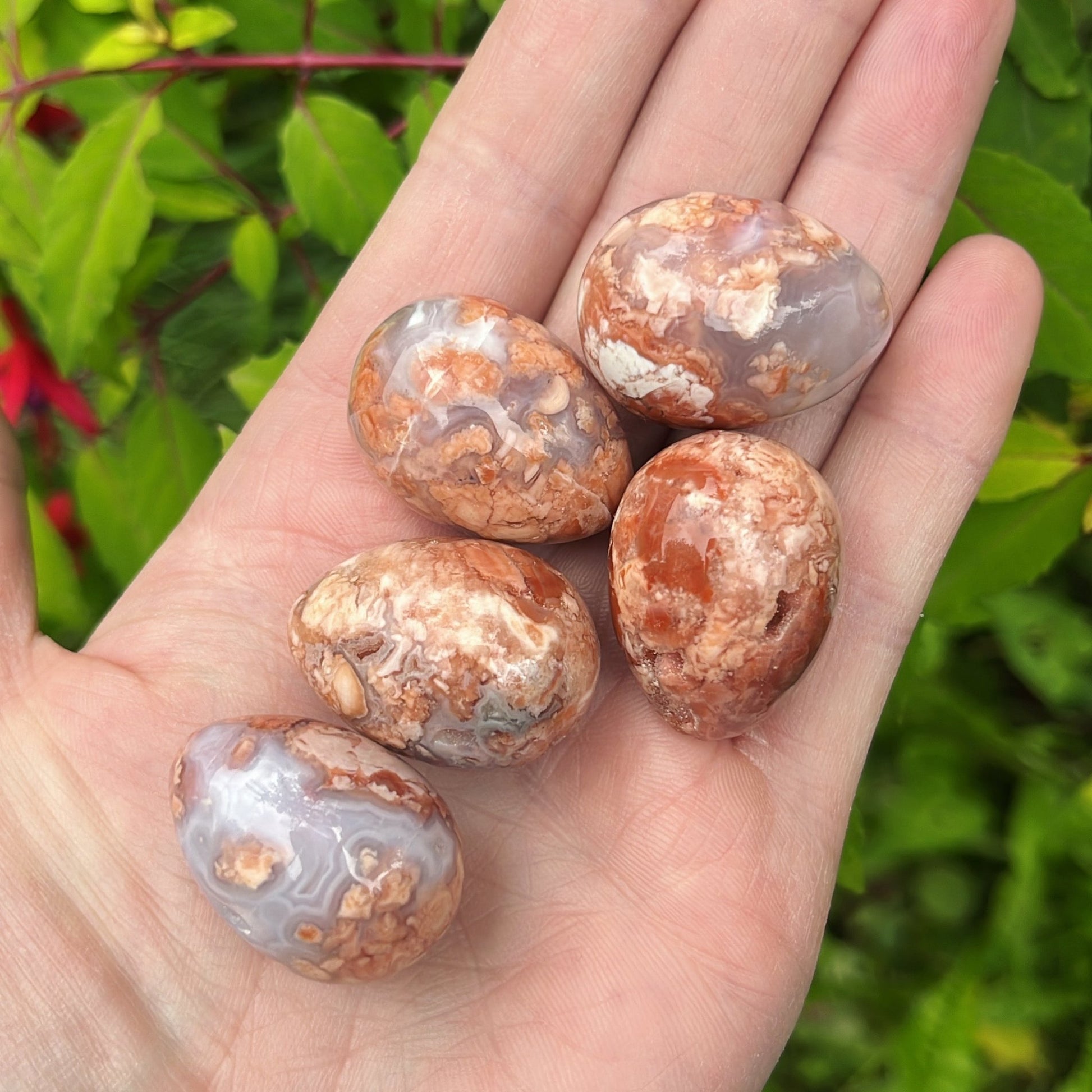 Mini Pink Flower Agate Egg - Shiny Crystals