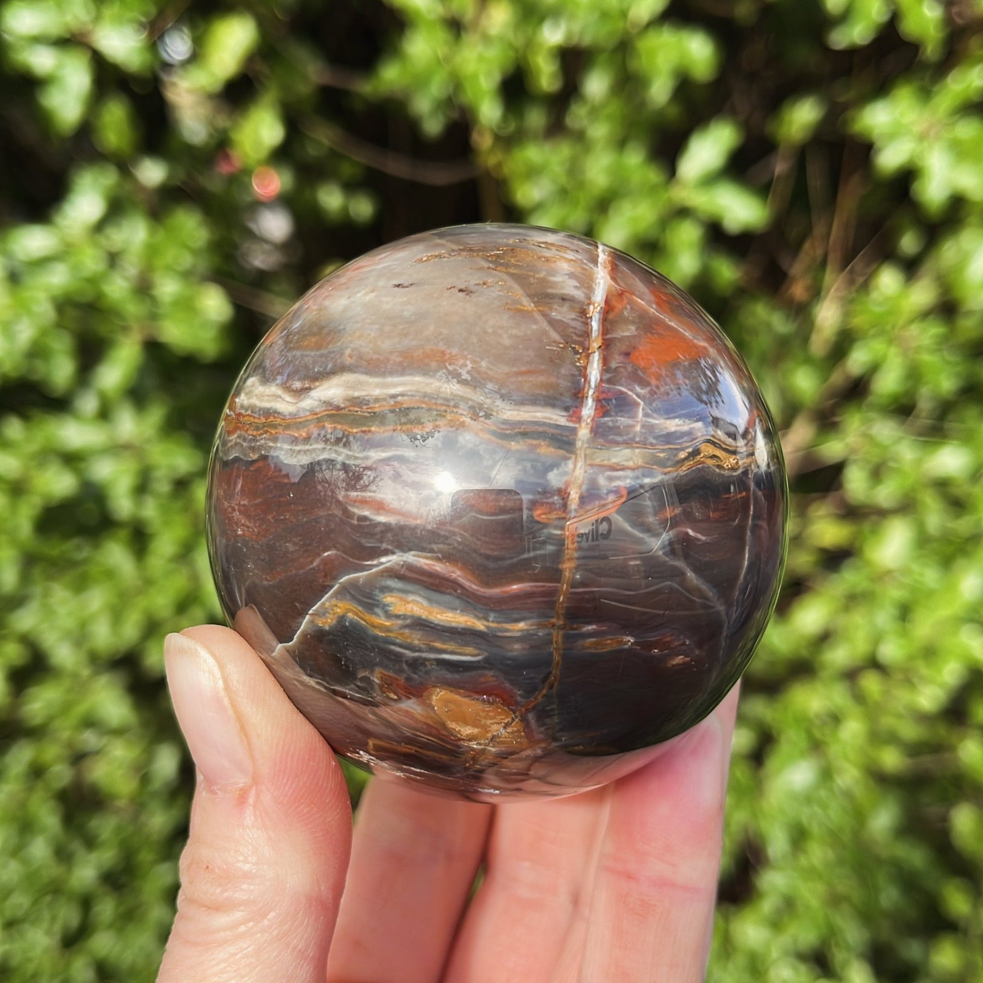 Petrified Wood Sphere | A - Shiny Crystals