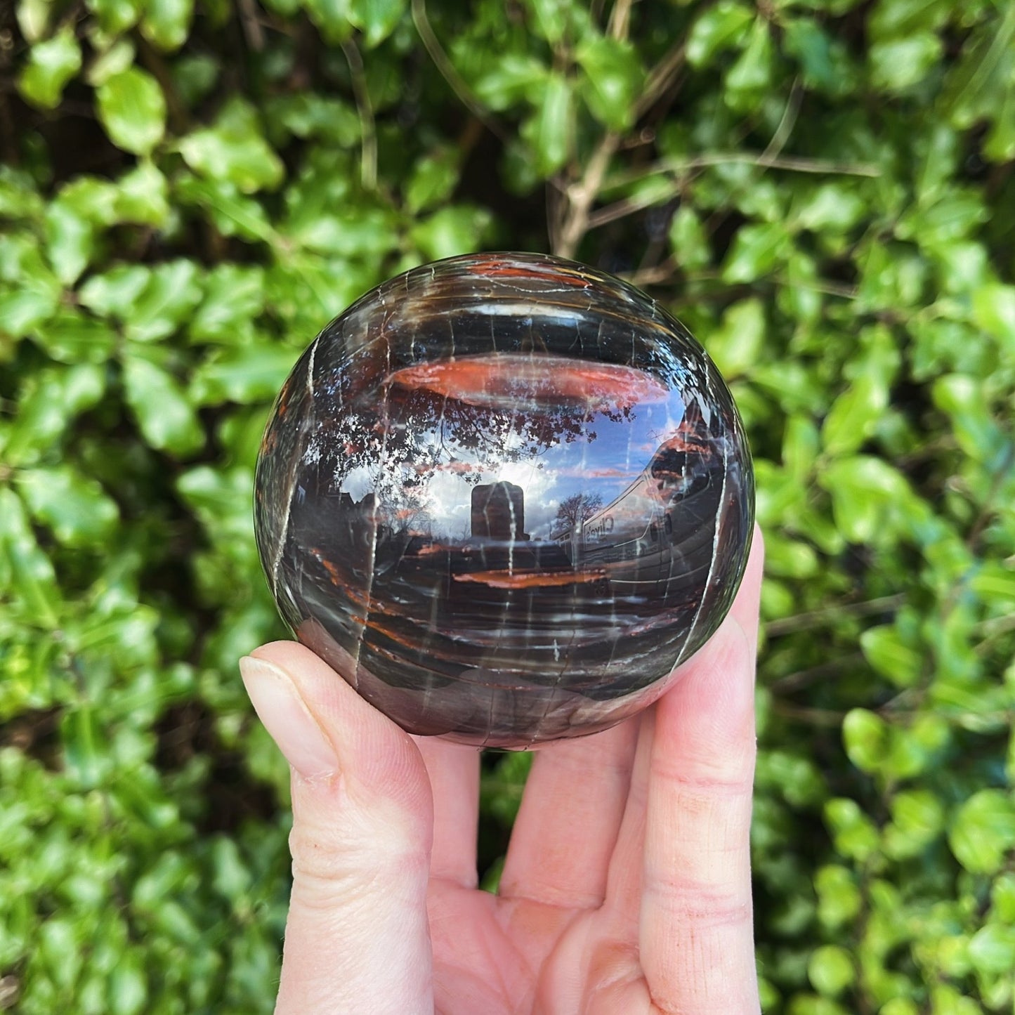 Petrified Wood Sphere | B - Shiny Crystals