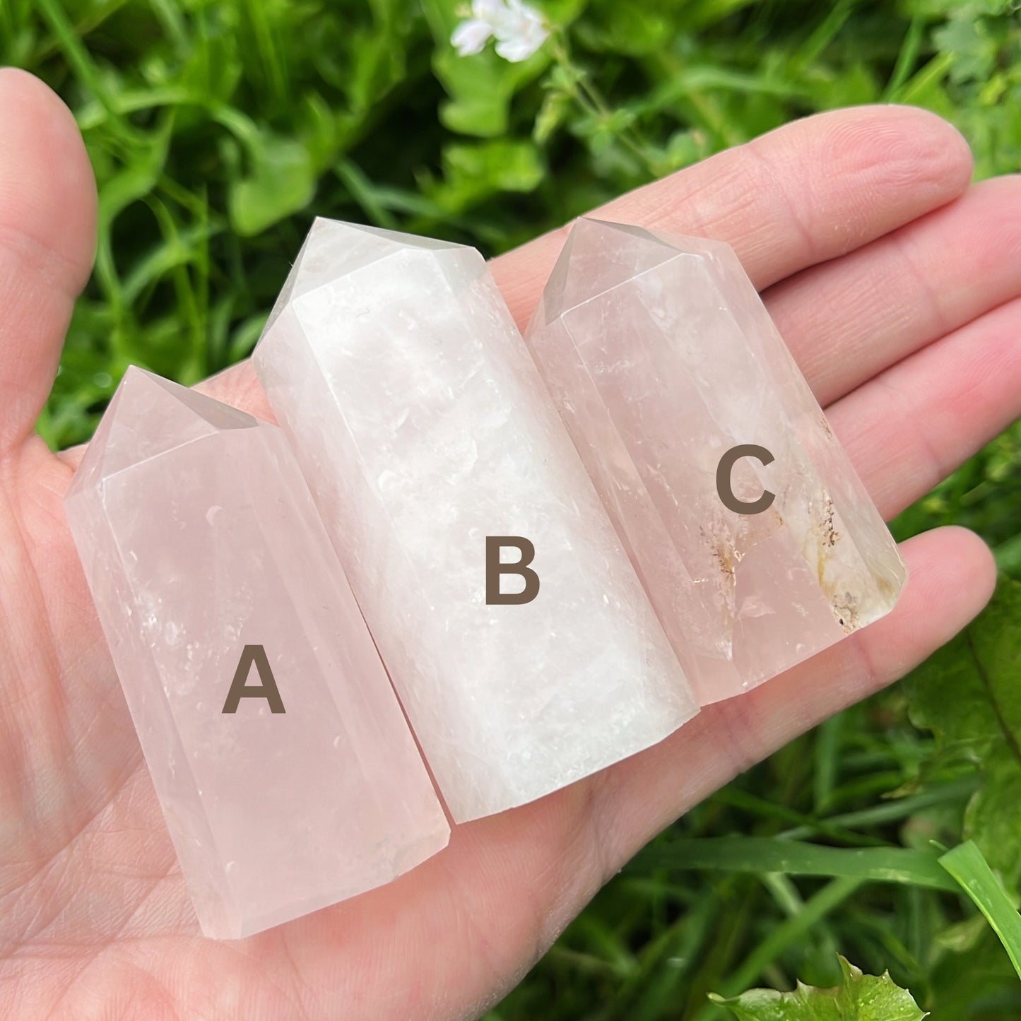 Rose Quartz Point | A - C - Shiny Crystals