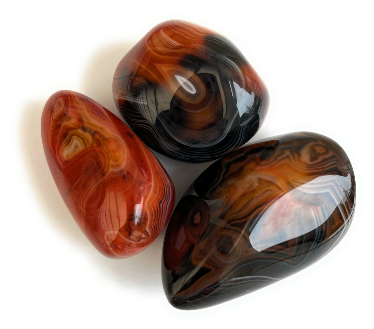 Sardonyx Palmstone - Shiny Crystals