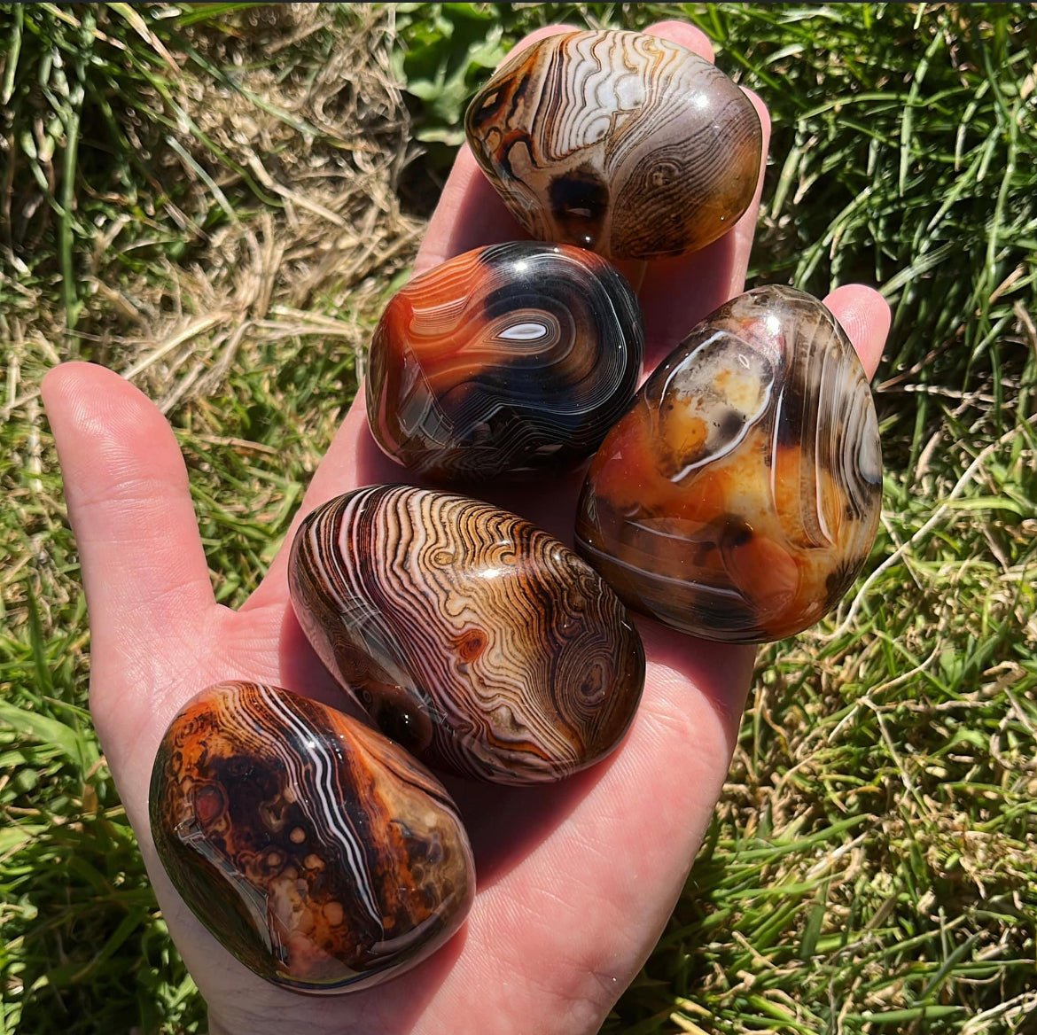 Sardonyx Palmstone - Shiny Crystals