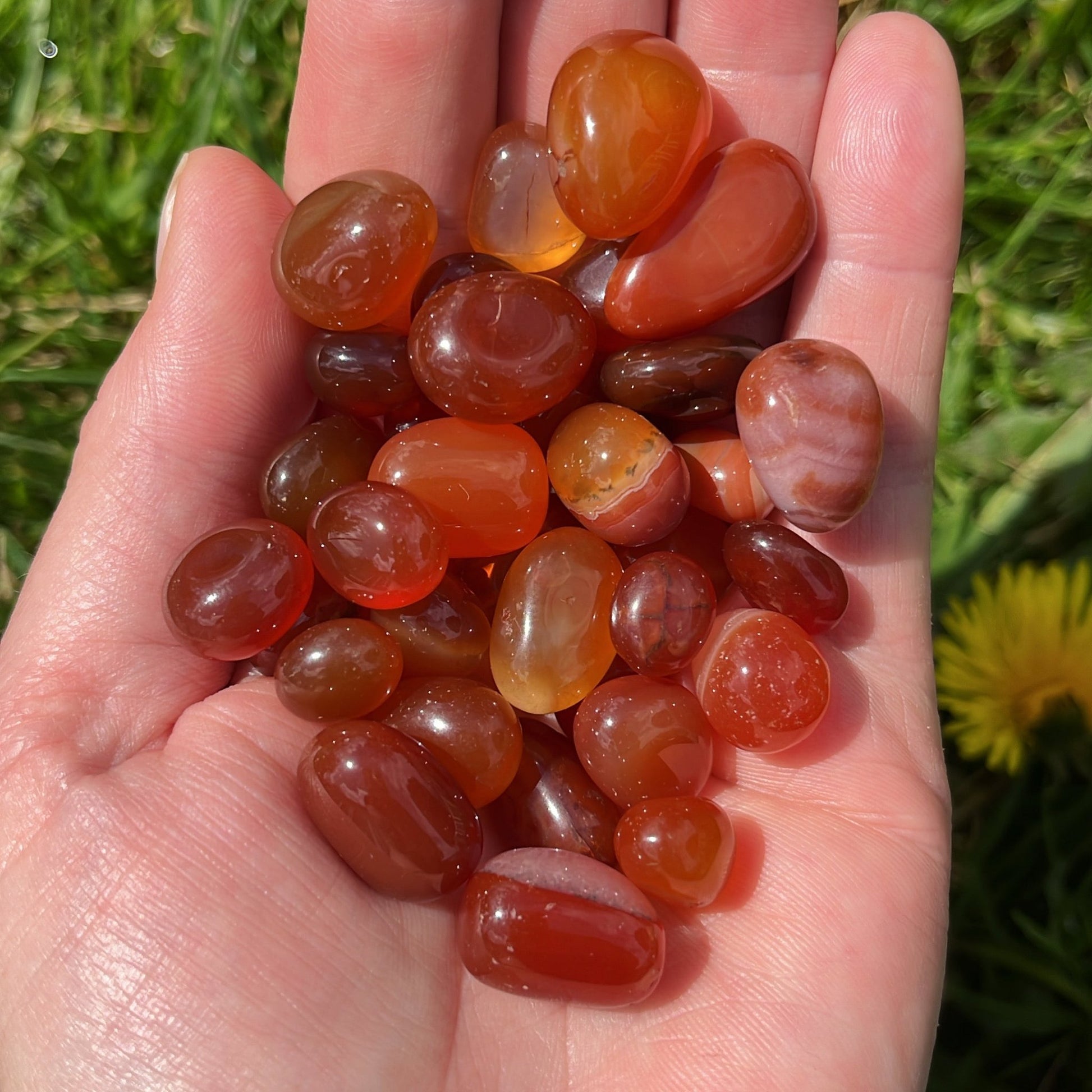 Small Carnelian Tumblestone - Shiny Crystals