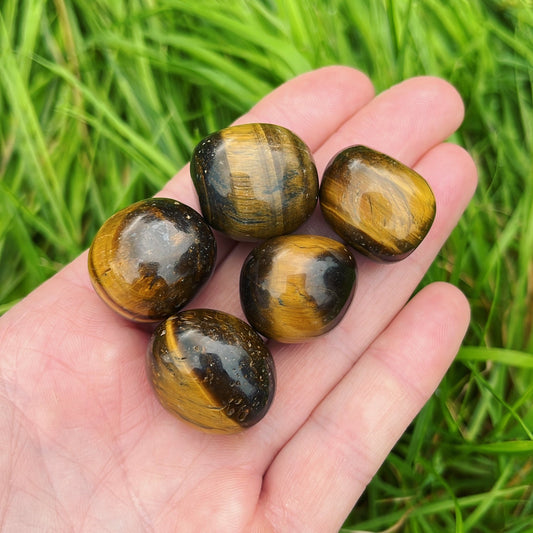 Tiger’s Eye Tumblestone - Shiny Crystals