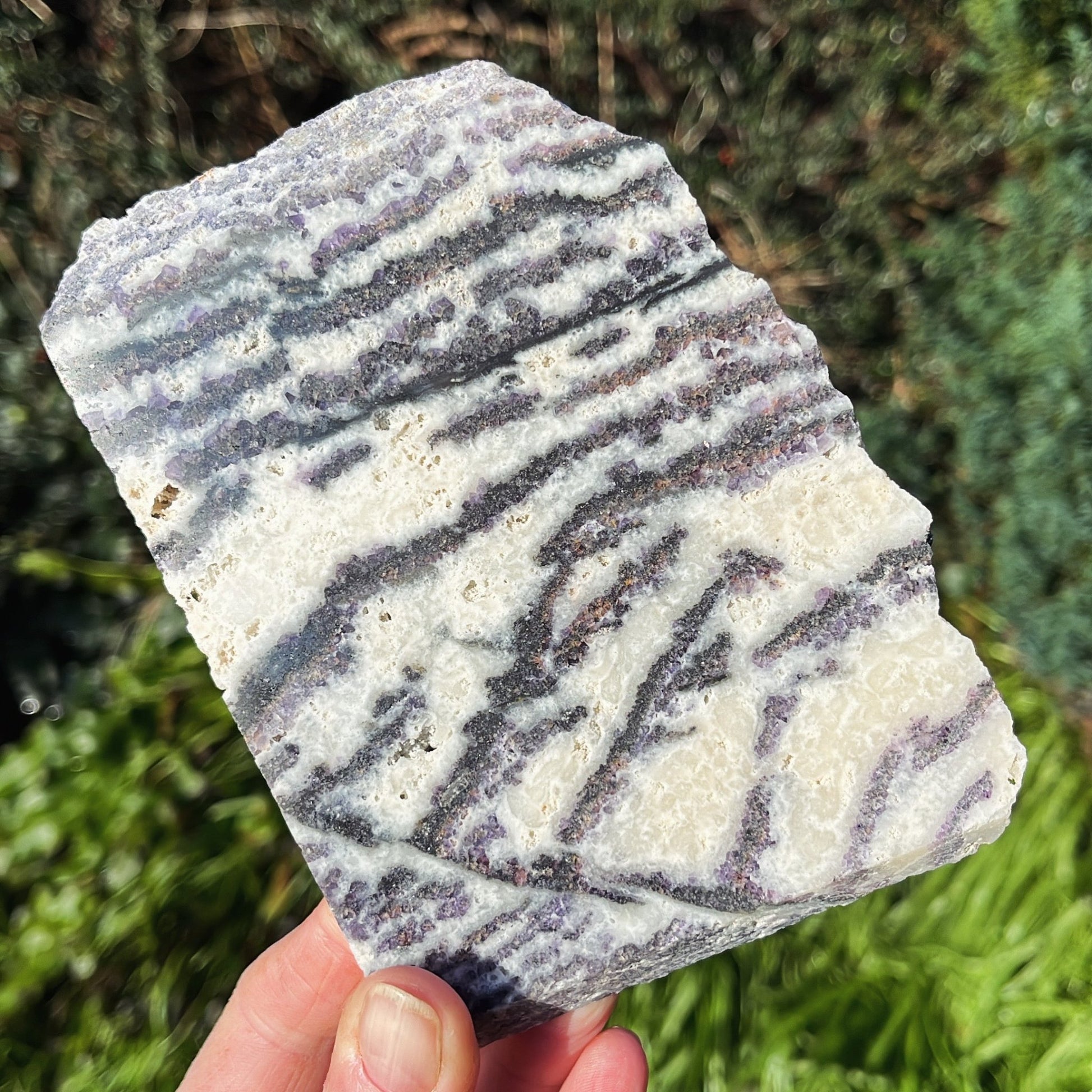 Zebra Jasper Slab | A - Shiny Crystals